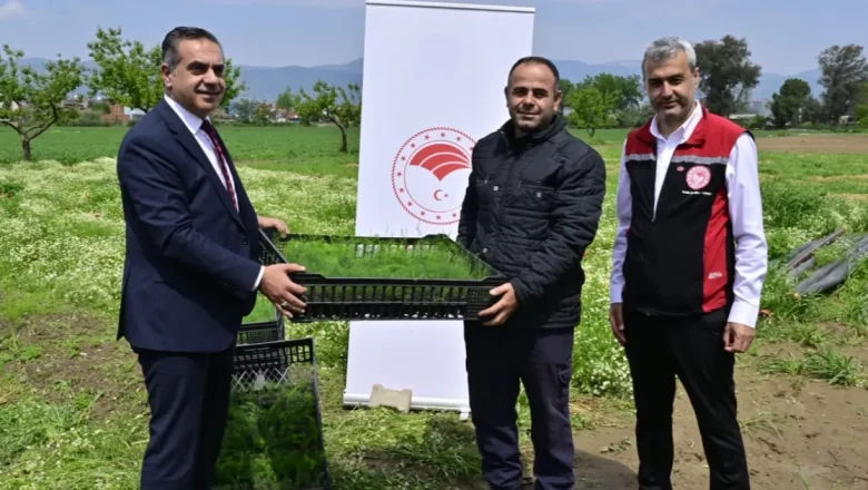 17 bin fide üreticilere teslim edildi