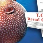 balon-baligi-avciligi-destegi-artirildi-Sew42UCf.webp