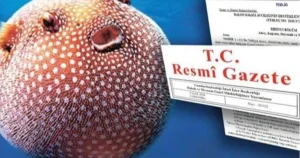 balon-baligi-avciligi-destegi-artirildi-Sew42UCf.webp
