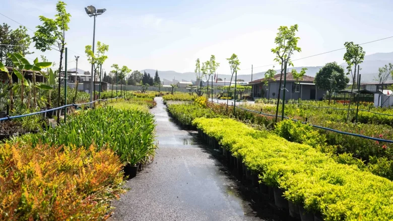 Bornova fidanlığı yeni görünümüyle göz kamaştırıyor