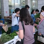 bursa-niluferde-310-bin-fide-vatandaslara-dagitildi-clzwEsqx.webp