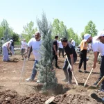 diyarbakirda-engelliler-fidan-dikerek-gelecege-nefes-oldu-jvDTmuYD.webp