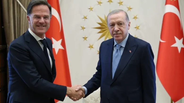 Erdoğan, NATO Genel Sekreteri Rutte’yi kabul etti