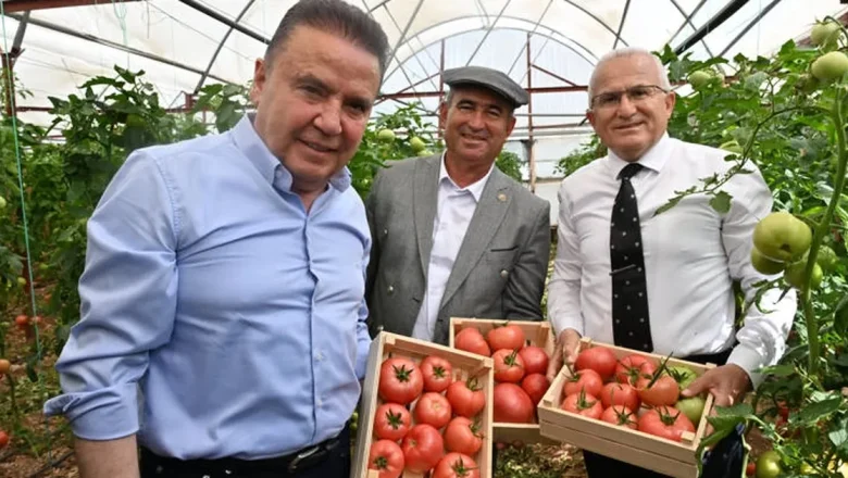 IV. Uluslararası FoodFest Gastronomi Festivali domates hasadı ile başladı