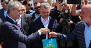 kahverengi-kokarca-kabusuna-karsi-mucize-bulus-ikjuzQv9.webp
