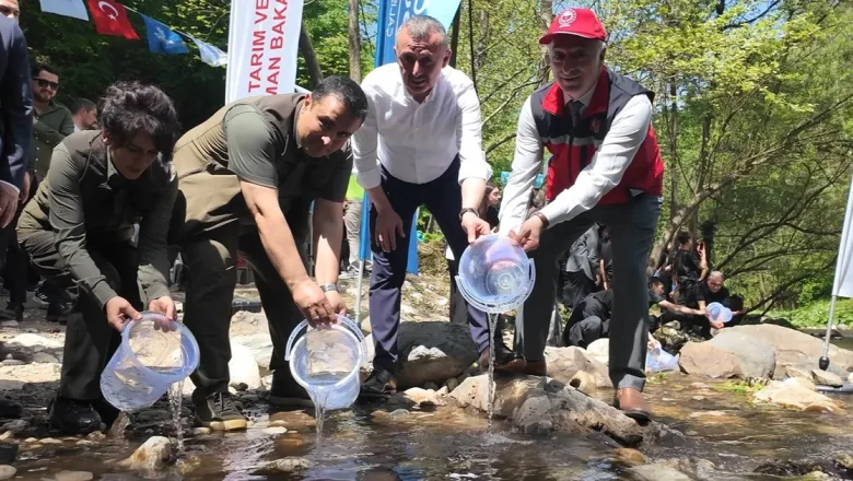 Kocaeli Kirazdere’ye 2 yılda 16 bin alabalık salındı