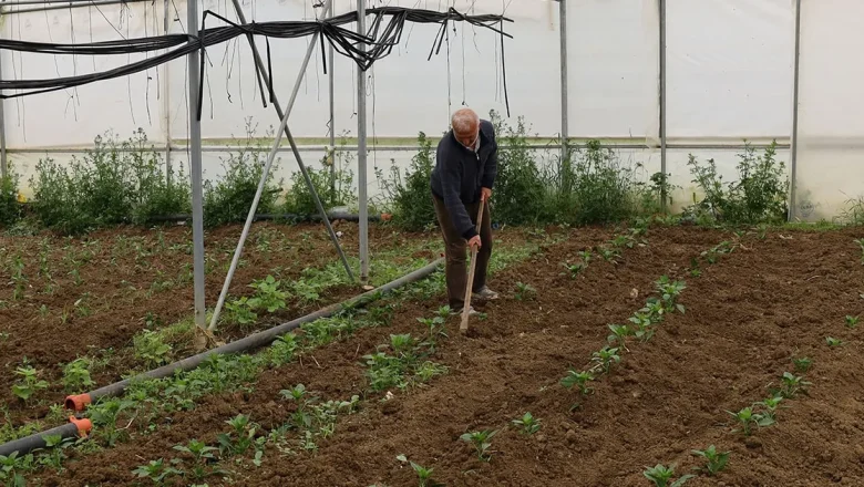 Kocaeli’nde üreticilere yüzde 50 hibeli modern sera desteği