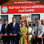 manisada-sokak-hayvanlari-icin-hayvan-yasam-merkezi-hizmete-acildi-MFCE9UgM.webp