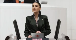 milletvekili-ozcandan-sokak-hayvanlari-icin-bakan-yumakliya-onerge-Q6243zR4.webp