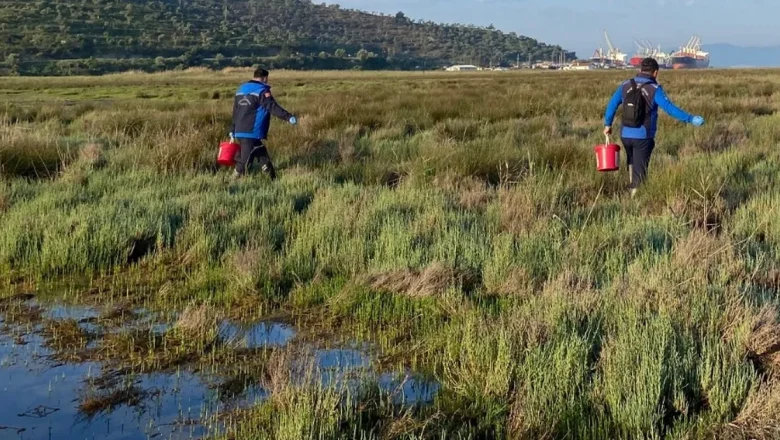 Muğla Büyükşehir’den Güllük’te 60 hektarda ilaçlama