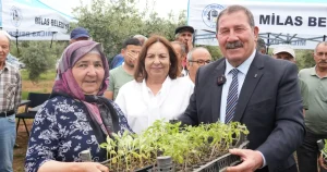 mugla-milasta-300-ureticiye-dagitim-gerceklestirildi-l8failOL.webp
