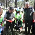 Orman yangınlarına karşı eş zamanlı temizlik