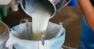 turkiyede-sut-uretimi-yukseliyor-martta-1-milyon-15-bin-ton-sut-toplandi-1msBtEH5.webp