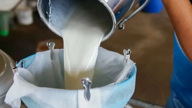 Türkiye’de süt üretimi yükseliyor! Mart’ta 1 milyon 15 bin ton süt toplandı
