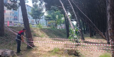 Ordu'da can ve mal güvenliğini tehdit eden ağaçlara müdahale edilecek
